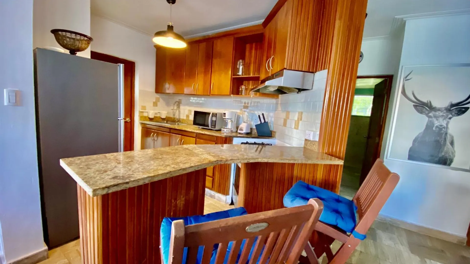 Apartment The Best Place In Los Corales Rd Arenas De B Punta Cana